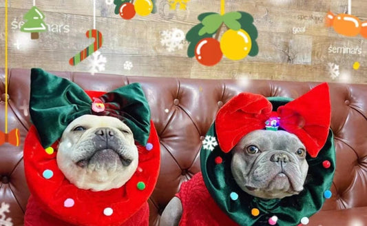 Christmas Pet Headgear