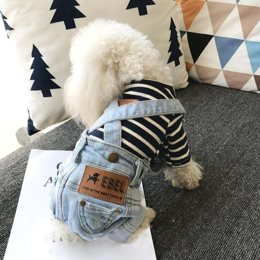 Small white dog wearing denim jumpsuit for dogs with striped shirt sitting on couch