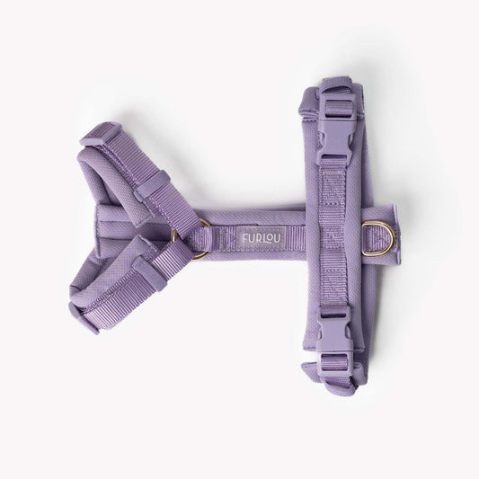 Lavender Comfort Dog Harness padded adjustable with Y-shape design and gold hardware for comfort and style