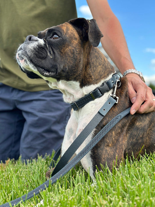 Celtic Sport Blue Jeans Leather Dog Leash - Stylish for Active Dogs