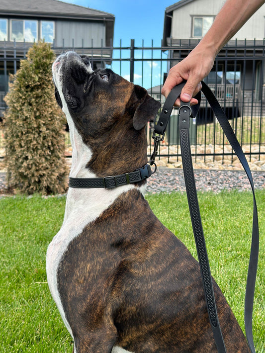 Celtic Sport Midnight Black Leather Dog Leash - Stylish Quick-Release