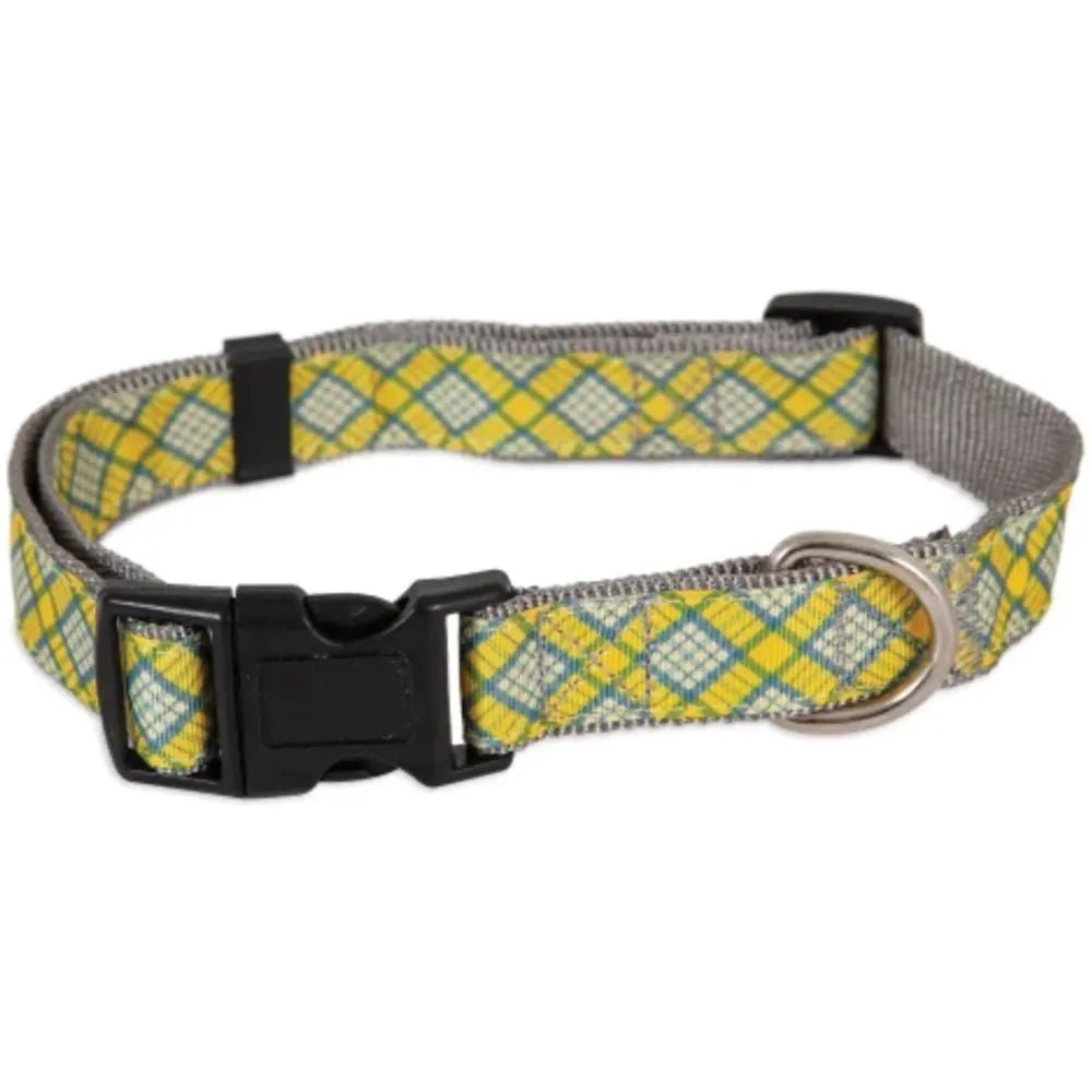 Aspen Pet Dog Collar – Comfortable, Stylish & Durable Pet Accessory