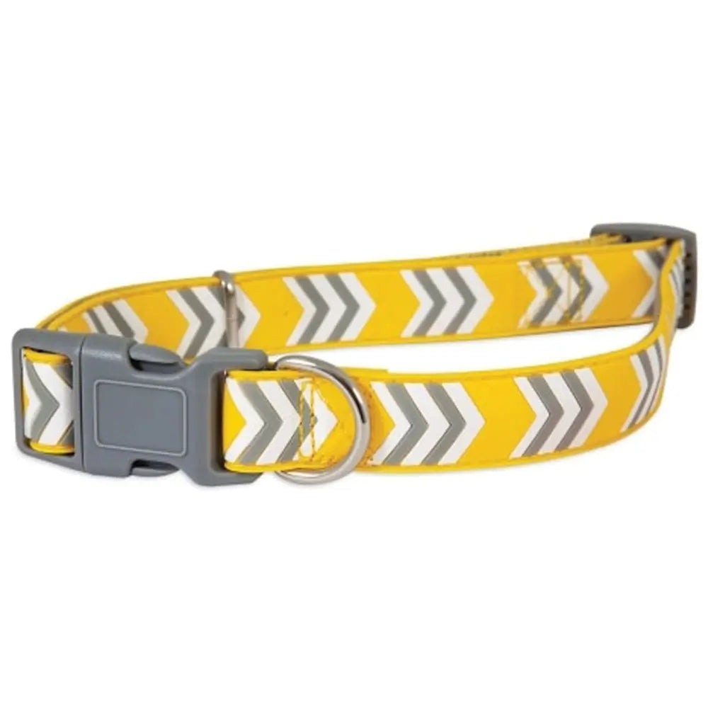 Petmate Rubber Dog Collar in vibrant color with adjustable fit and sturdy D-ring for leash attachment