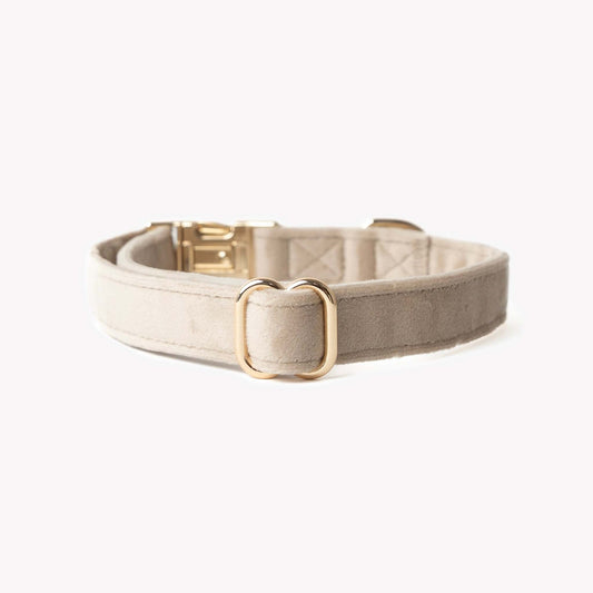 Sand velvet dog collar with gold hardware, soft and stylish pet accessory