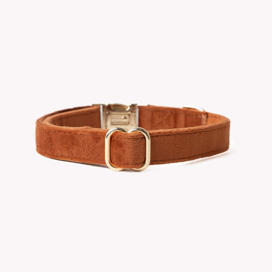 Brown velvet dog collar with gold buckle and soft texture
