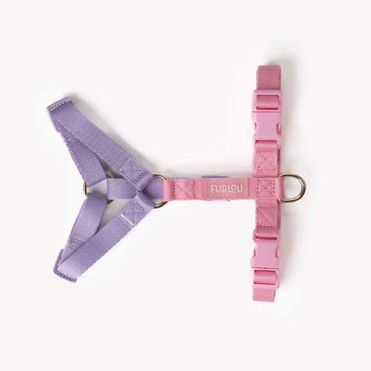Adjustable Lavender and Pink Dog Harness with gold hardware and color-matching buckles