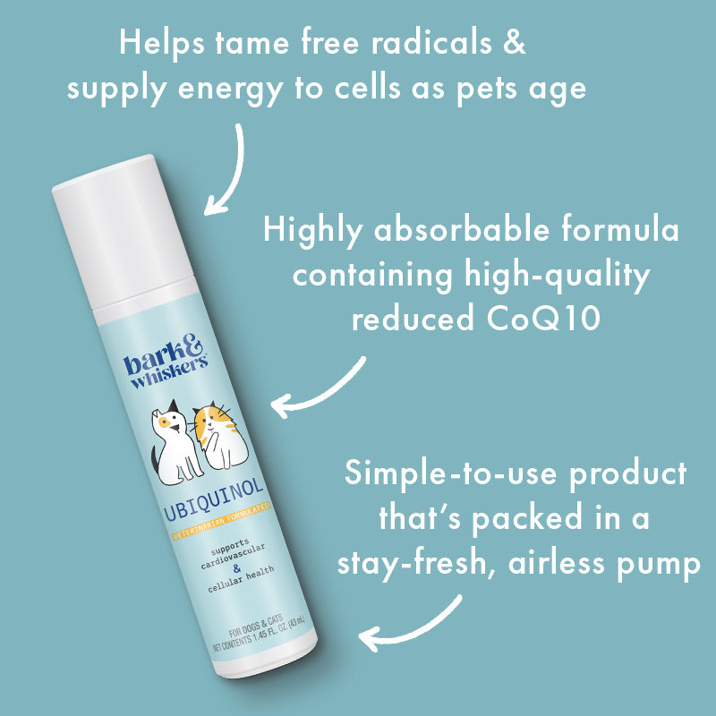 CELLULAR HEALTH / Ubiquinol For Pets