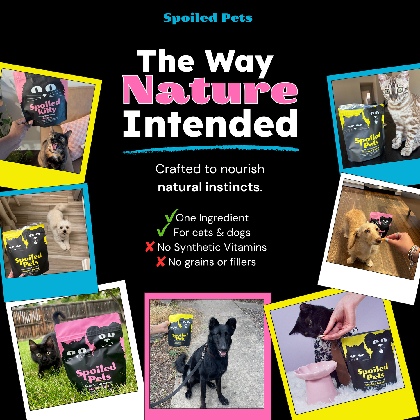 Chicken Breast Bites freeze-dried from 100% cage-free chicken breast, high-protein pet treats