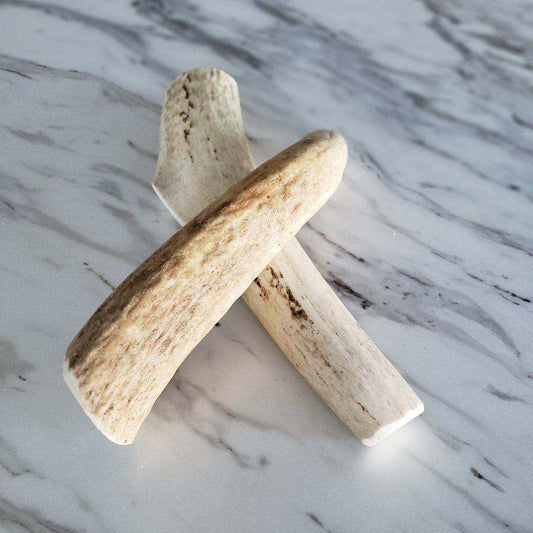 Large whole elk antler dog chew on marble surface for aggressive chewers