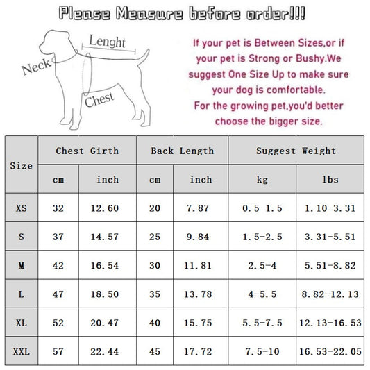 Autumn And Winter Korean Version New Dog Cute Cartoon Little Bear Sportswear Cat Teddy Pet Clothing