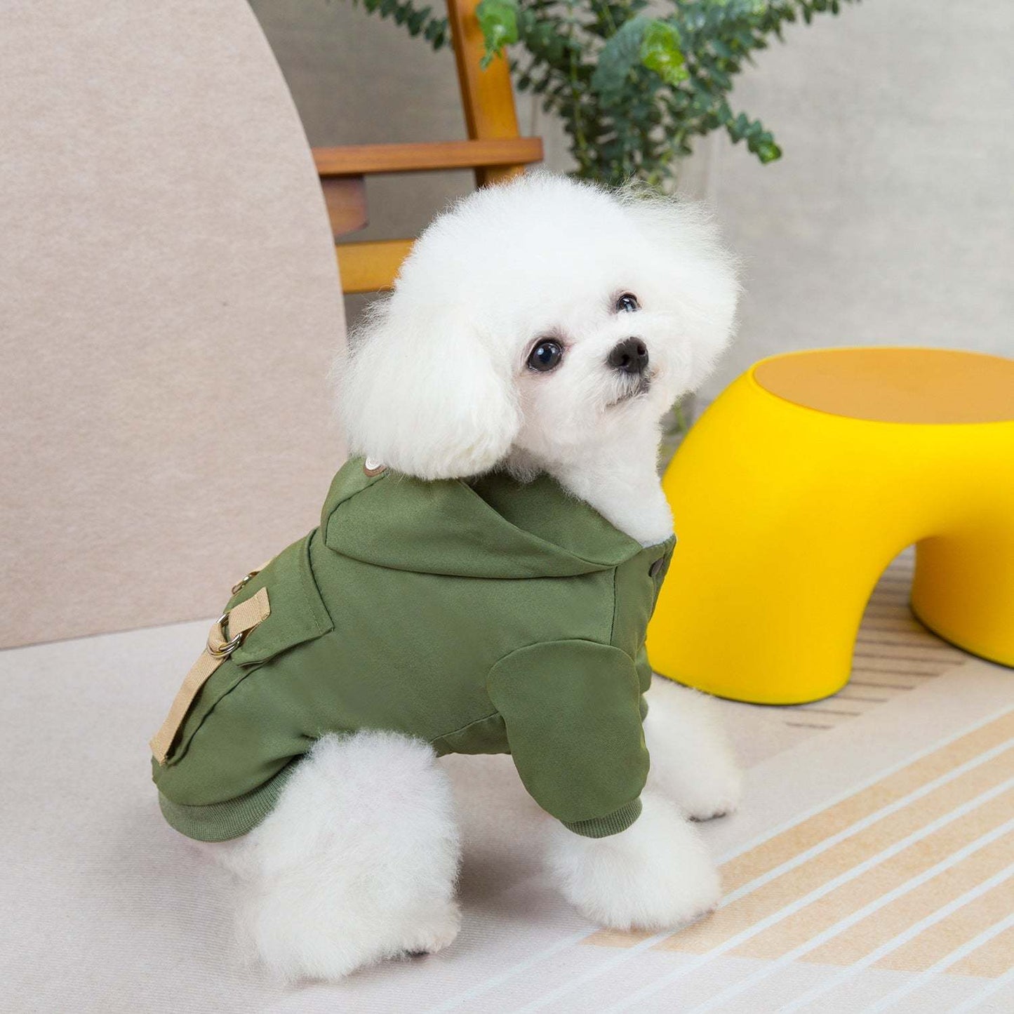 Dark brown and green polyester pet sweaters for dogs and cats in casual style, available in sizes S to XXL