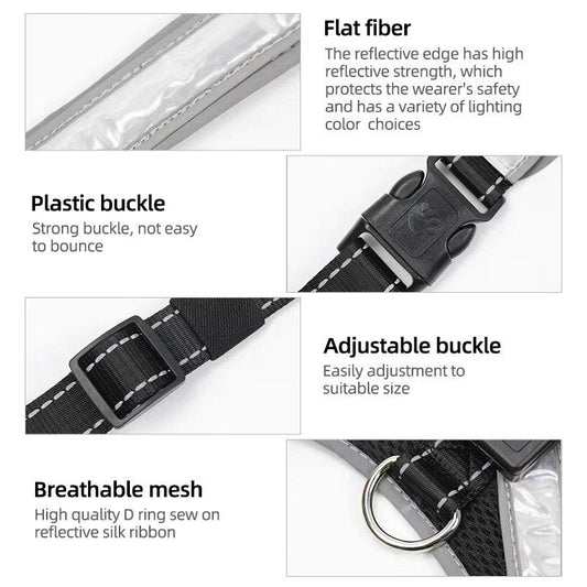 Explosion Proof Pet Supplies: LED Chest Braces & Collars | Dog Safety