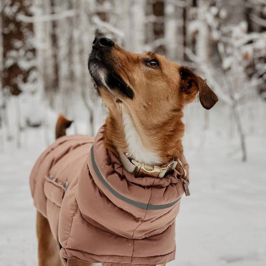 Waterproof warm dog clothing in grey, pink, and yellow polyester two-leg coat