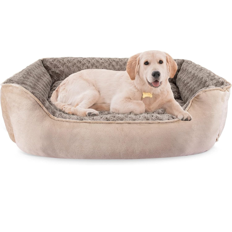 JOEJOY Cat Couch Bed - Orthopedic Sofa Couch Bed for Cats & Dogs