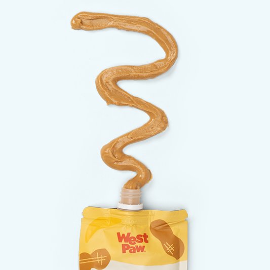 reamy peanut butter and banana dog treat pouch for healthy rewarding