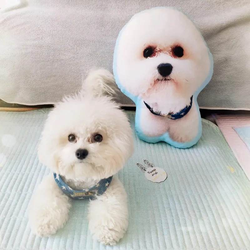 Custom Photo Pet Pillow – Personalized Dog & Cat Picture Cushion