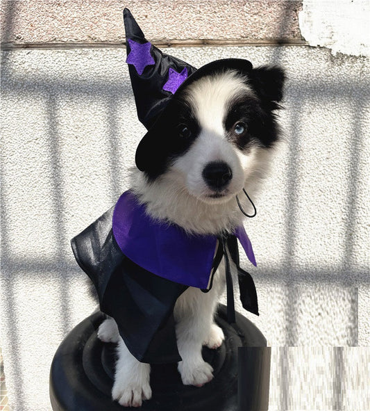 Halloween Wizard Pet Costume