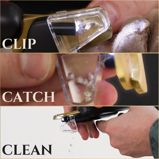 3 in 1 nail clippers with LED and UV light for safe pet grooming