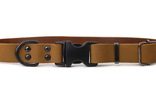 Sport Style Earth Brown Leather Dog Collar - Durable & Stylish Design