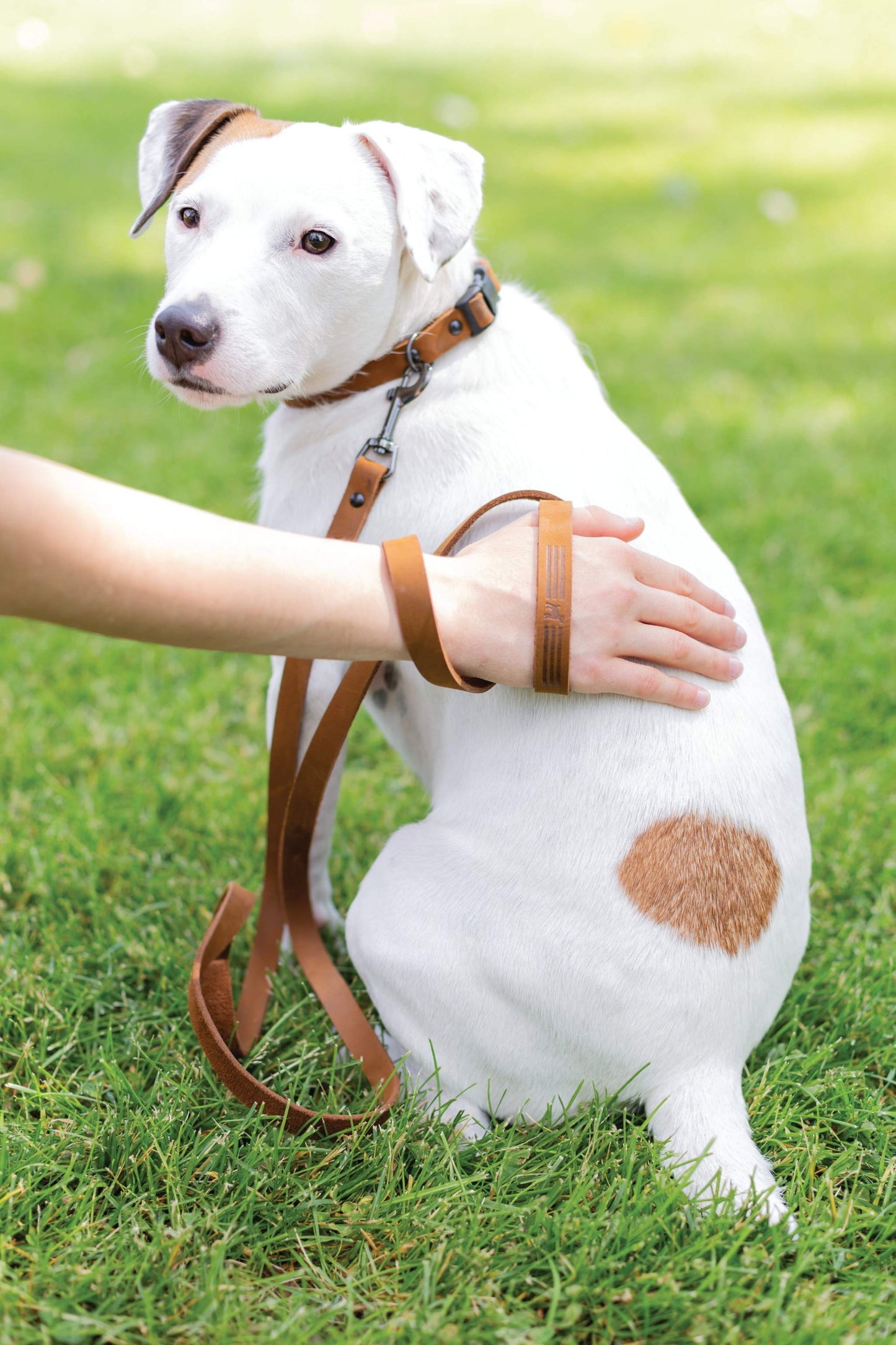 Sport Style Earth Brown Leather Leash - Durable & Stylish Dog Lead