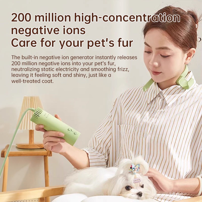 High power European pet hair dryer LSQ-A3 with quiet operation for dog grooming, fast drying, and energy saving designed for 220V countries
