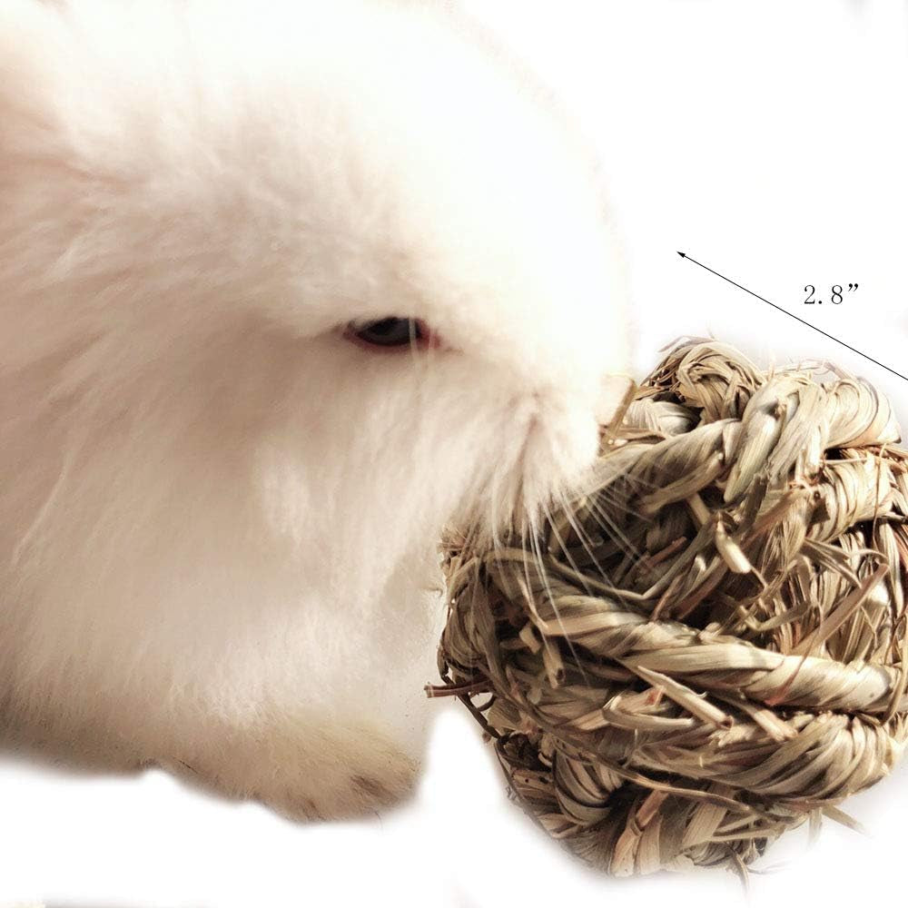 Get Your Furry Friends Hopping with Our Timothy Grass Chew Ball - Perfect Playtime for Bunnies, Hamsters, and Guinea Pigs! 🐰🐹🥳