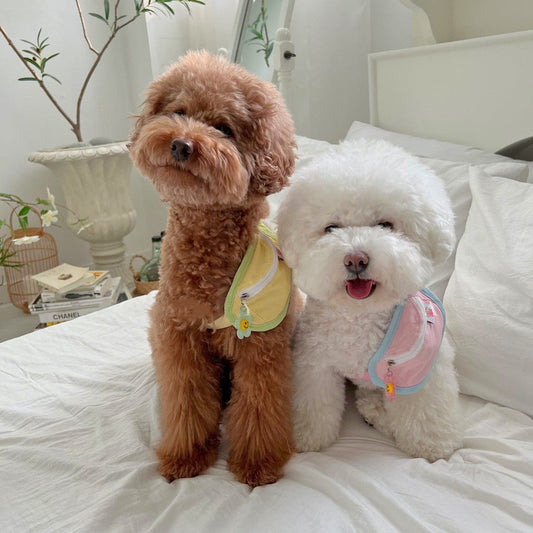 Backpack-style Poop Bag Hit Color Powder Blue Yellow Green Messenger Bag Dog Cat Pet Backpack Cat Backpack