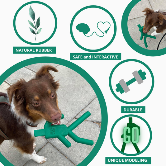 Durable 9.5-inch BPA-free natural rubber dog chew toy safe for all dog sizes and ages
