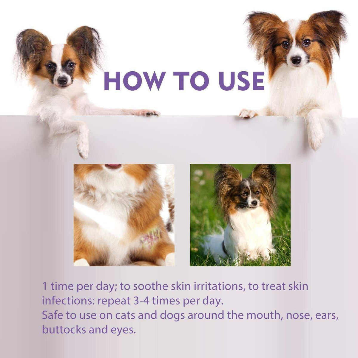 Two small dogs demonstrating how to use Pet Skin Relief Spray for soothing skin irritations and treating infections.