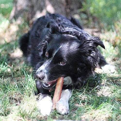 Brazilian Grass-Fed Beef Bully Sticks | All-Natural, No Preservatives