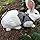 Rabbit Vest Harness and Leash Set Adjustable Formal Suit Style for Bunny Kitten Small Animal Walking (S)