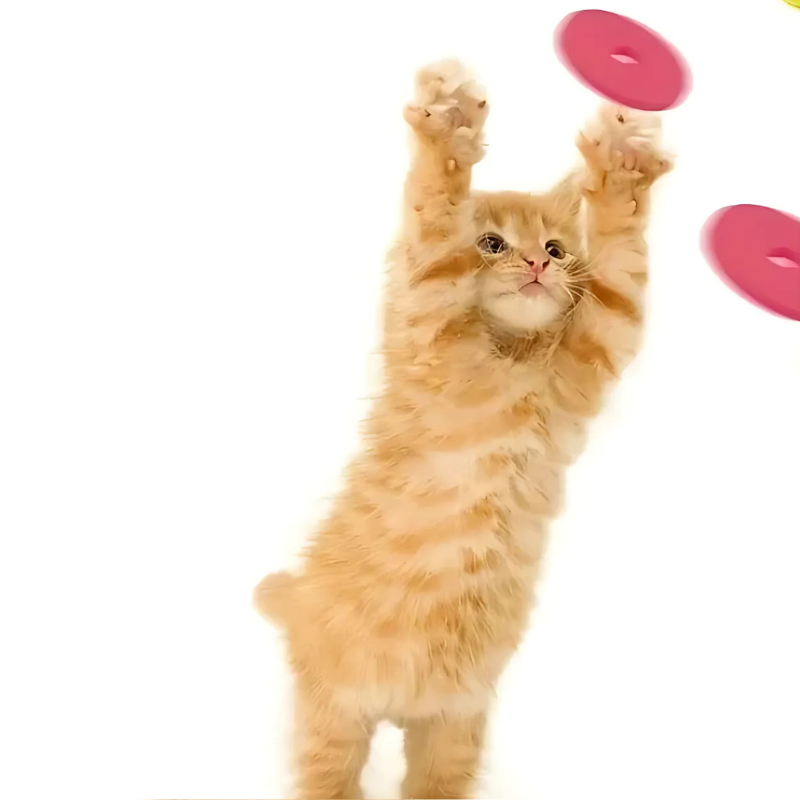 Funny Turnip Gun Cat Toy - Interactive Foam Launcher for Active Cats & Dogs