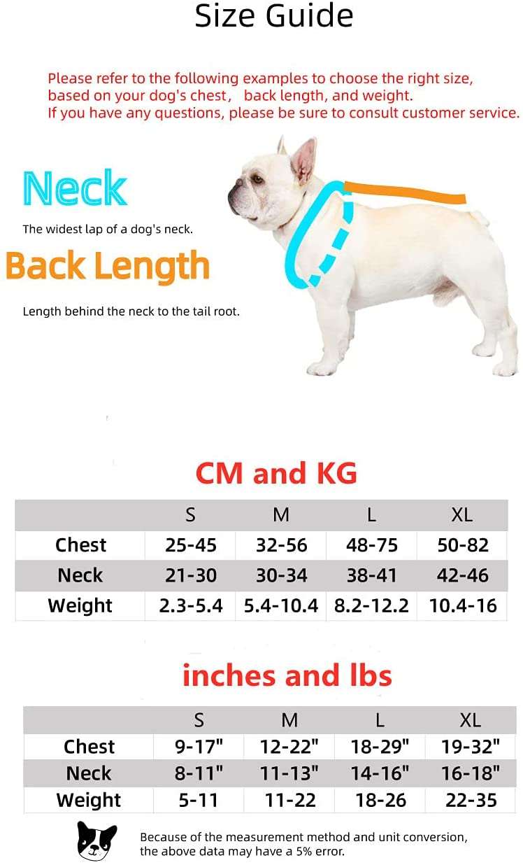 Luxury red lips breathable mesh pet harness and leash set for small medium dogs and cats