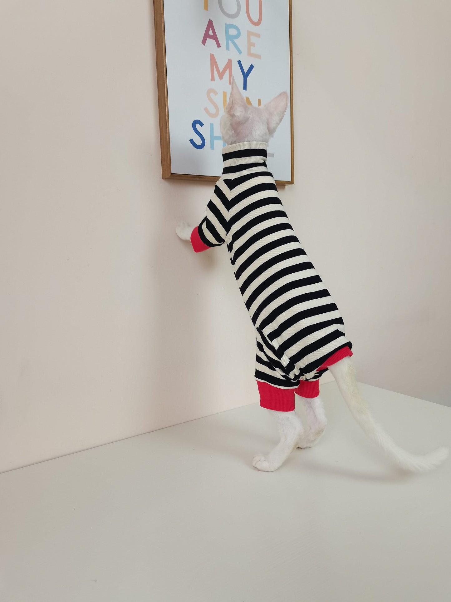 Belly-protecting Four-legged High-elasticity Fur-free Cat Clothing