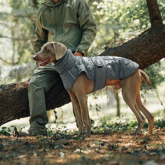 Grey and olive green sleeveless dog coat vest for outdoor winter warmth
