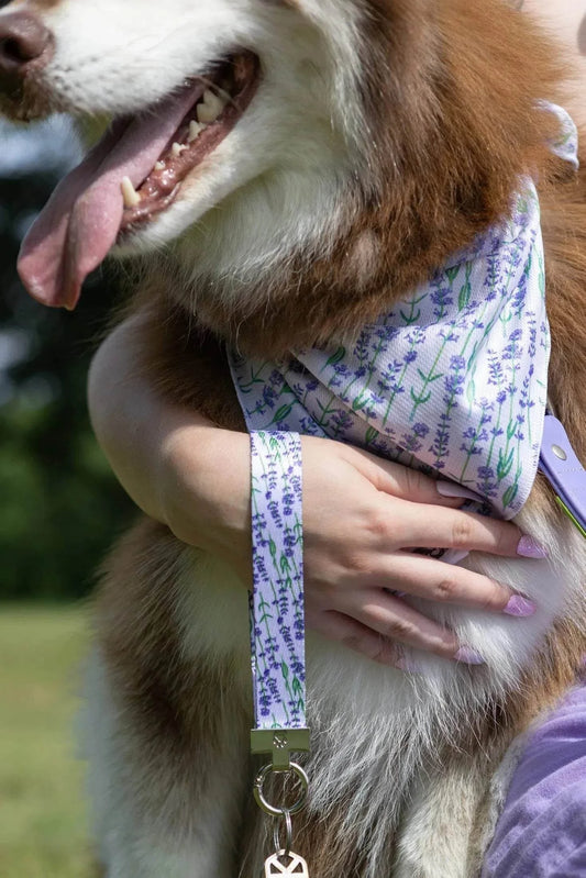 Lavender Blooms Dog Bandana with matching keychain featuring floral pattern and paw print engraving