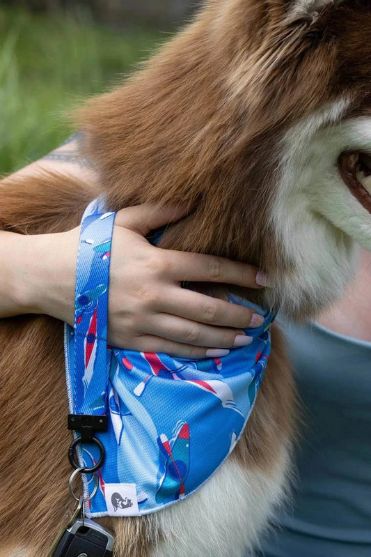 Dog wearing blue K9 Kayak Dog Bandana with matching kayak-patterned wristlet keychain attached