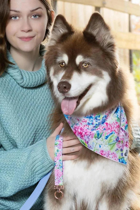 Hydrangea Haven dog bandana and matching wristlet keychain with floral design