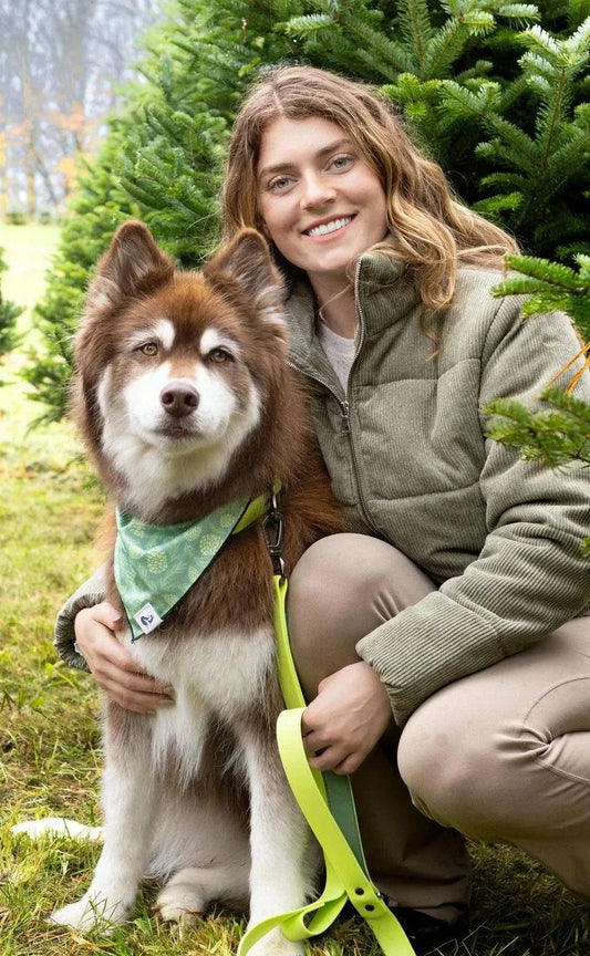 Dog wearing Pine Cone Pup Bandana with pine tree and pine cone design outdoors with woman