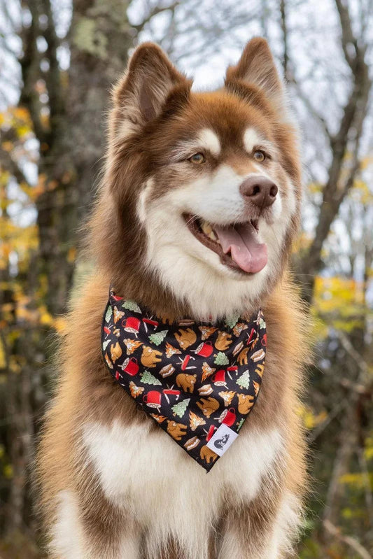 Brown and white dog wearing Woodland Tales Dog Bandana with forest-themed pattern in outdoor setting