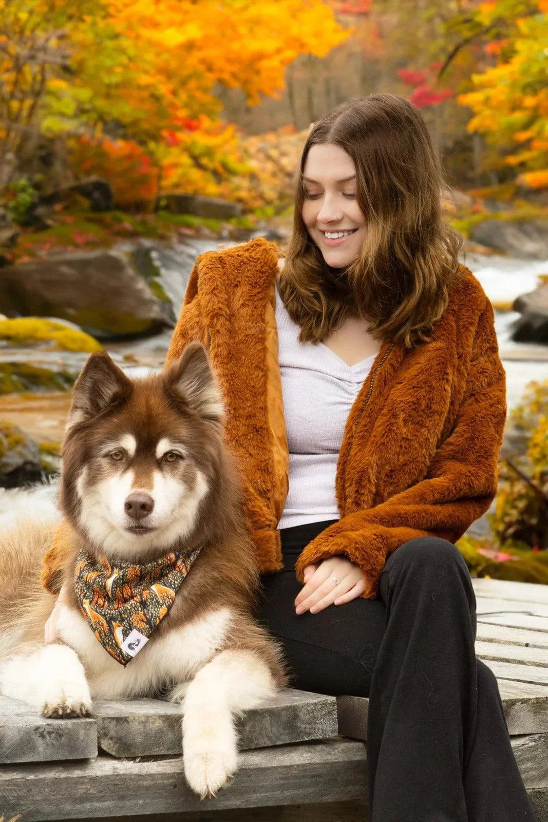 Foxes in Fall Dog Bandana on large dog with scenic autumn background