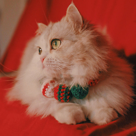 Christmas Pet Bib
