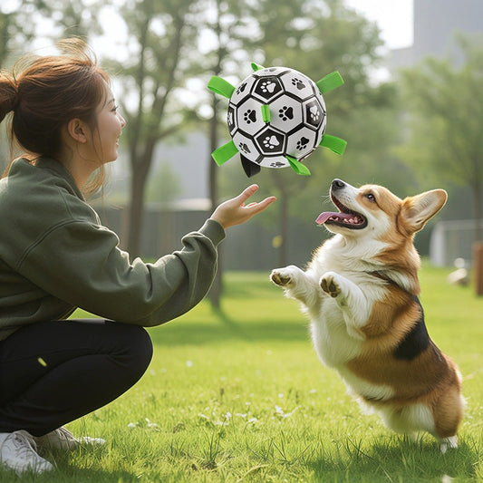 Durable dog toy ball for teeth cleaning and outdoor chewing in small and medium sizes