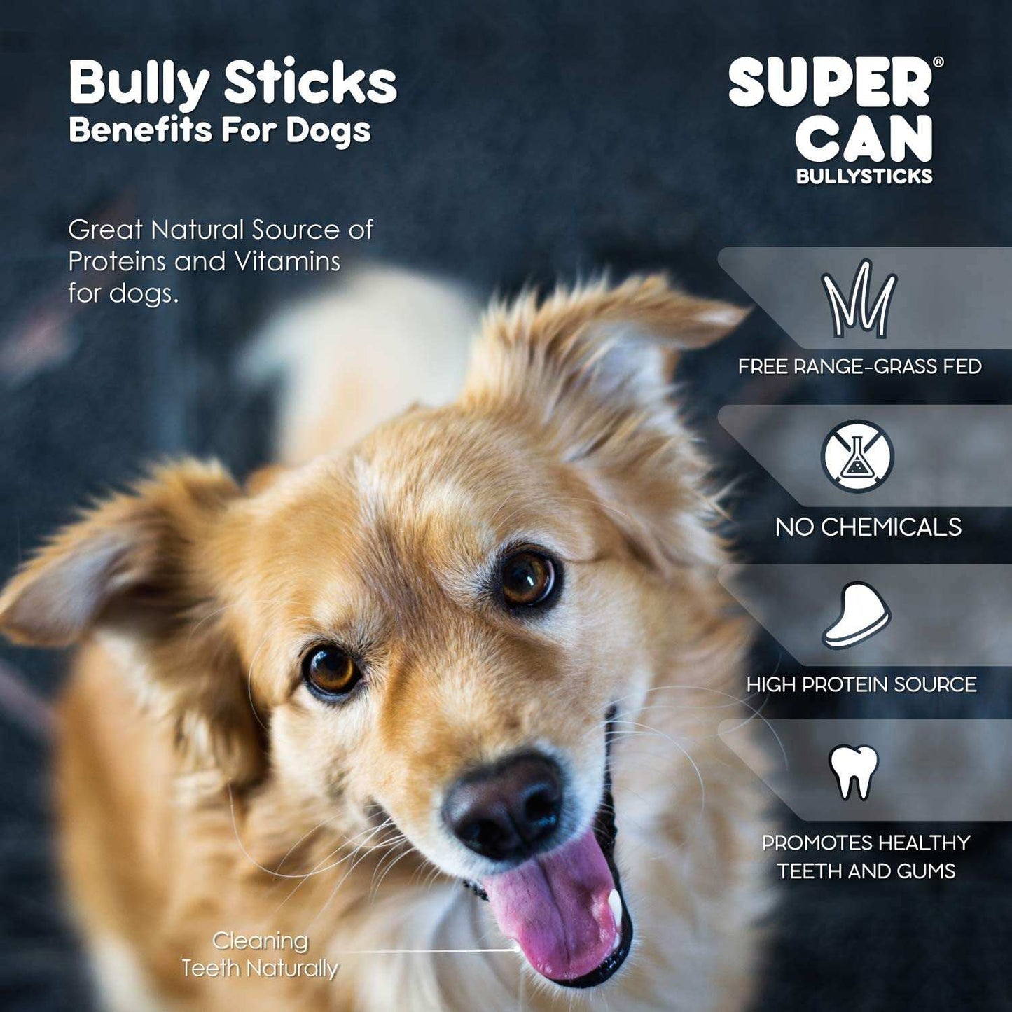 Happy dog with tongue out next to Super Can 12" Standard Bully Sticks natural high-protein dog treats packaging