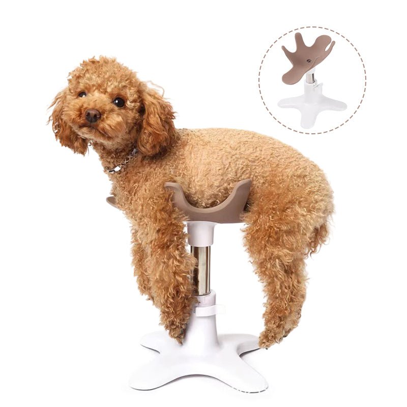 Adjustable pet shower grooming table with dog fixing rack and bathing hair dryer bracket for small and medium pets
