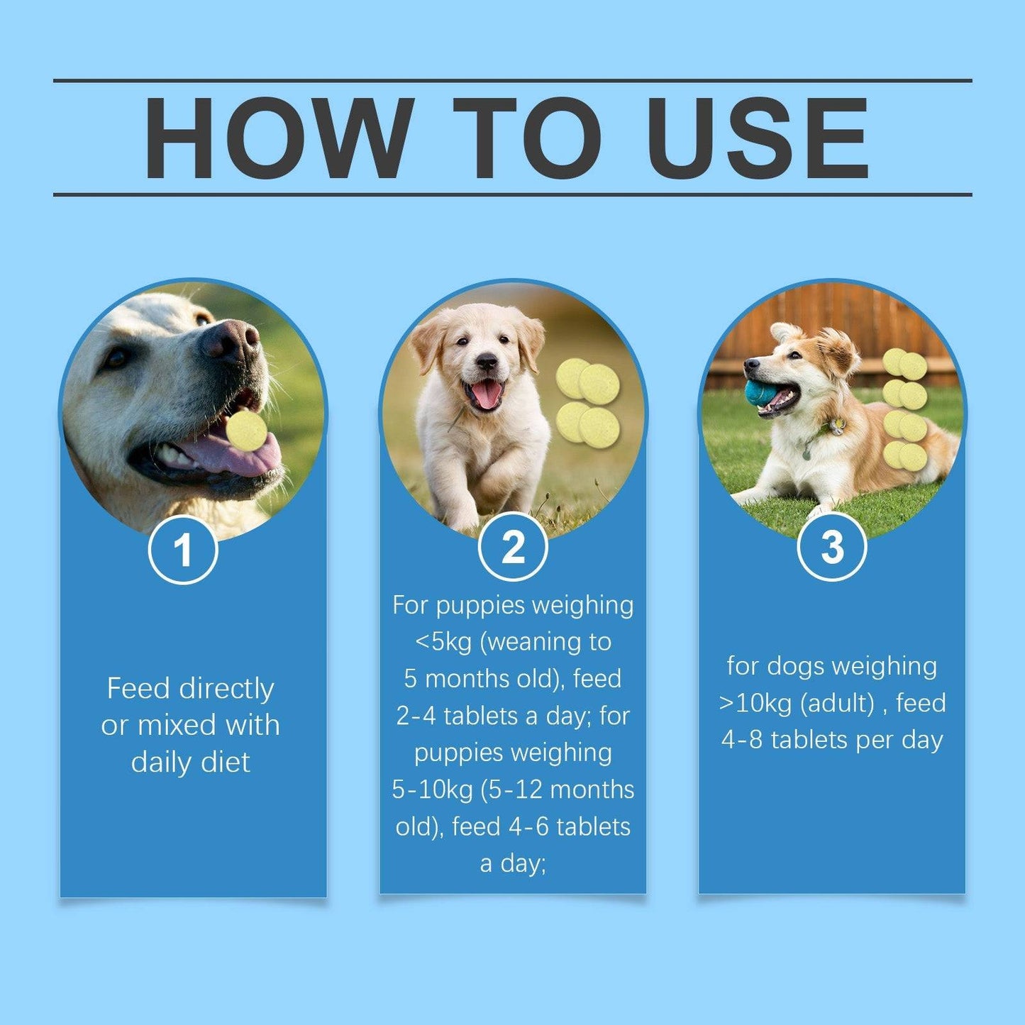 Multivitamin tablets for dogs and pets nutritional health supplements in blister pack