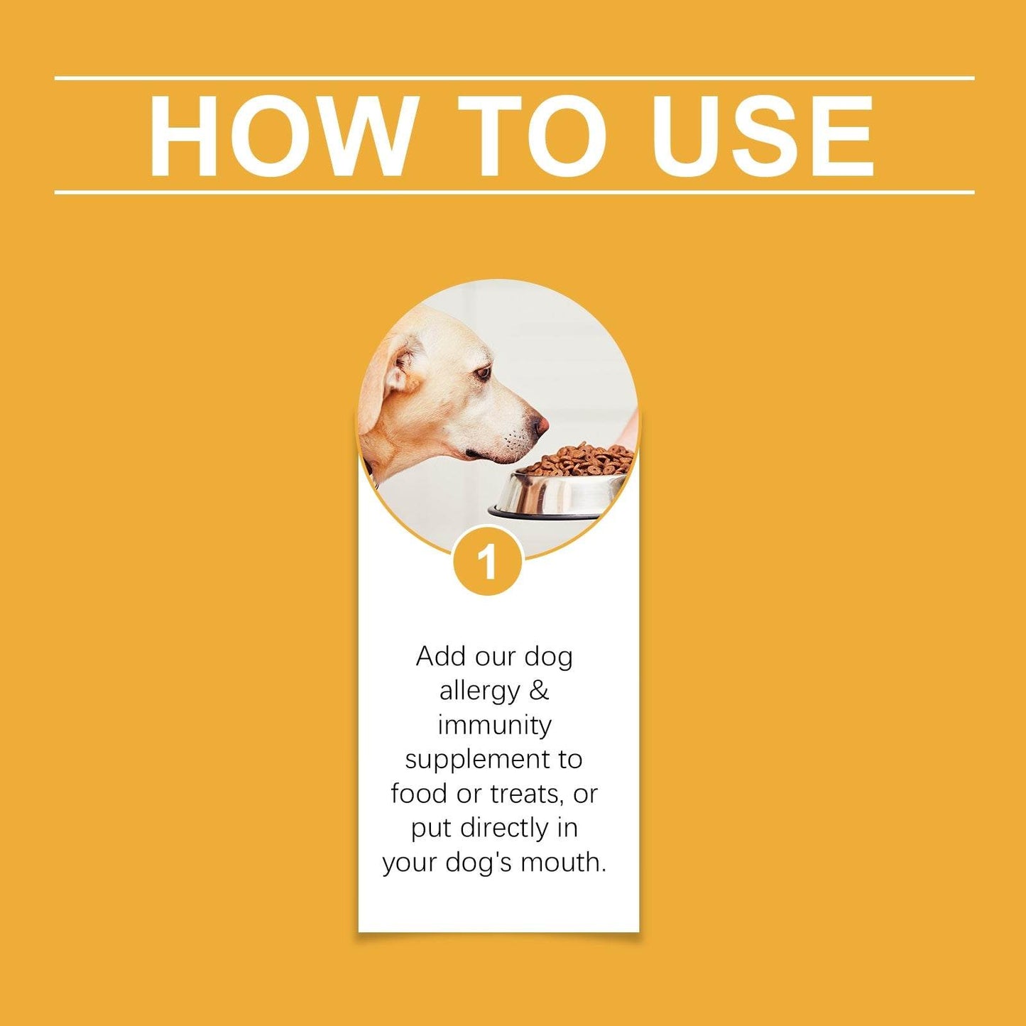 Bottle of Dog Body Care Drops nutritional supplement for pet allergy and immunity support