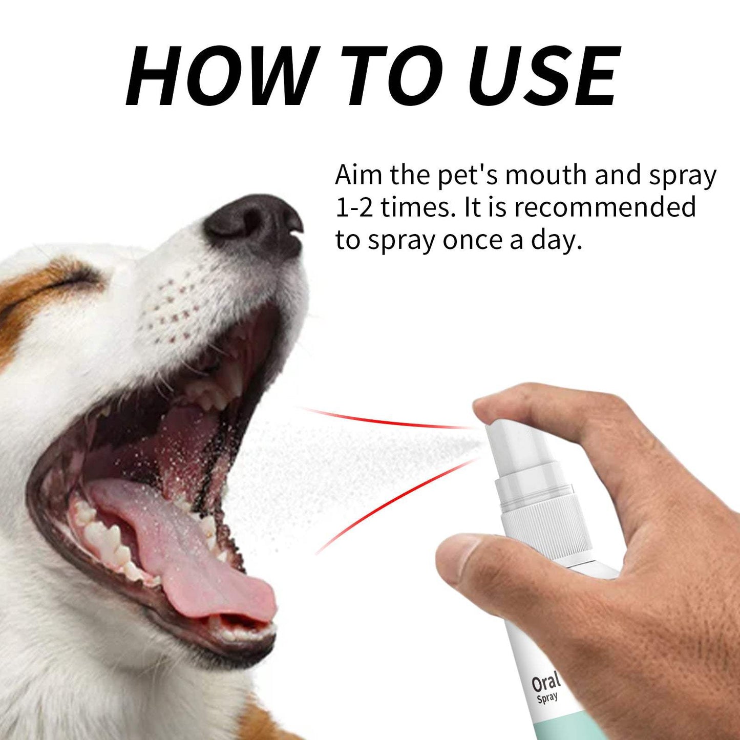Pet Mint Fresh Breath Spray being sprayed into dog's open mouth for fresh breath care
