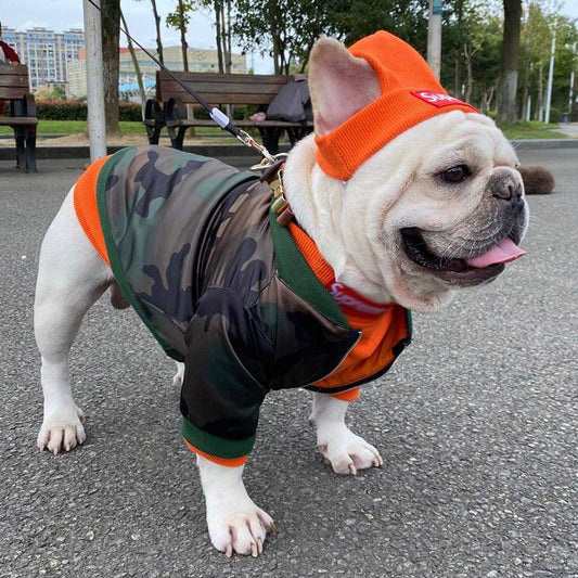 Trendy pet clothing set with coat and hat for dogs in multiple colors and sizes