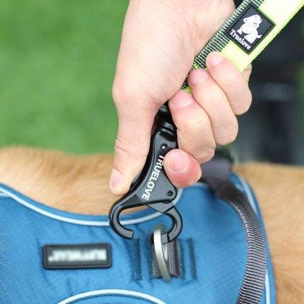 Adjustable elastic pet dog leash with cushioning for outdoor running and waist tying in multiple colors